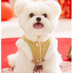 Winter Clothing for Small Dogs, Chinese Style, Gold-Colored Floral Button, Fleece-Lined, Warm Teddy Pet Vest for Dogs