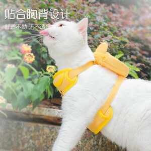 
New direct selling dog leash Teddy Bichon medium and small dog chain pet supplies dog walking cat vest