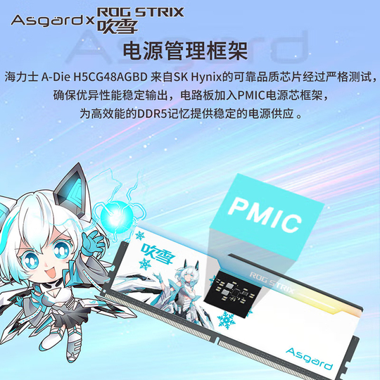 Asgard Fubuki DDR5 32GB (16GBx2) 6400MHz RGB Desktop Memory