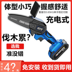 Lithium Battery Hair Dryer, Powerful Fan for Car Washing, Water Blowing, Dust Removal, Snow Removal, Wireless Turbo Ducted Rechargeable Blower