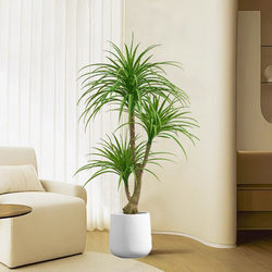 Artificial Tree, Simulated Dragon Blood Tree, Artificial Plant Tree, Potted Plant, Living Room Entrance Decoration, Large Green Plant, Indoor Decoration, Artificial Flowers