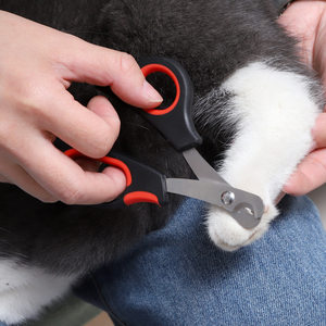 
Pet cat and dog nail trim small dog cat nail clippers dog stainless steel nail clipper beauty cleaning supplies