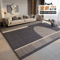 Carpet for Living Room 2024 New Model Sofa Coffee Table Rug Light Luxury High-End Tianjin Room Carpet Bedroom Bedside Rug Home Use