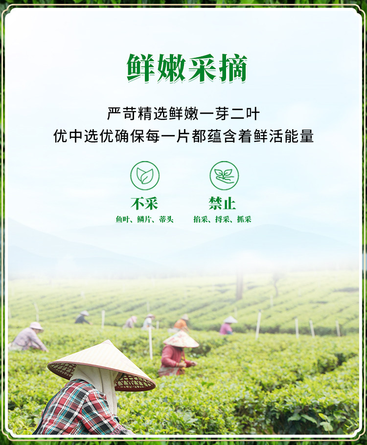 英紅九号紅茶ギフトボックス - 500g - 英徳紅茶