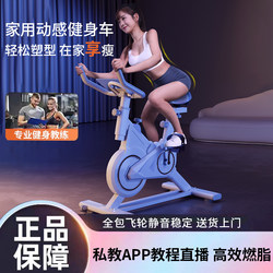 Dynamic Exercise Bike for Home Use [Recommended Flywheel Model] Indoor Cycling Equipment for Weight Loss and Fitness, Compact Size