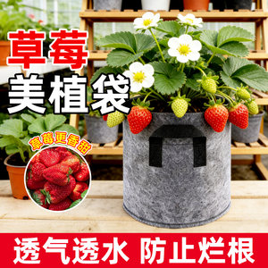 
Special strawberry planting bag, black thickened and durable non-woven fabric, universal planting bag for flowers, fruits and vegetables, for home balcony planting