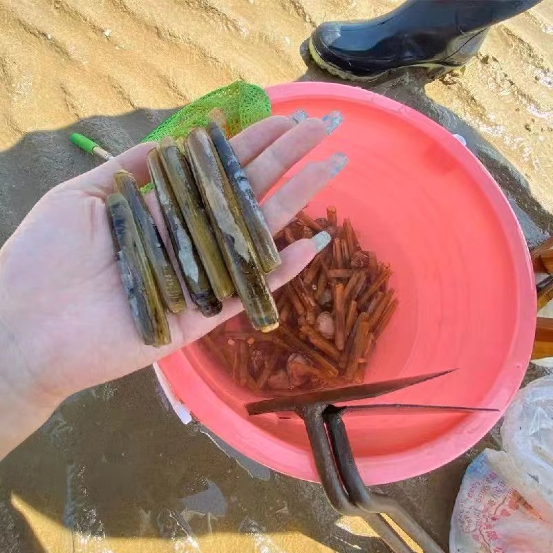 青岛崂山一日游环海公路青山渔村赶海仰口景区纯玩2-6人VIP小团