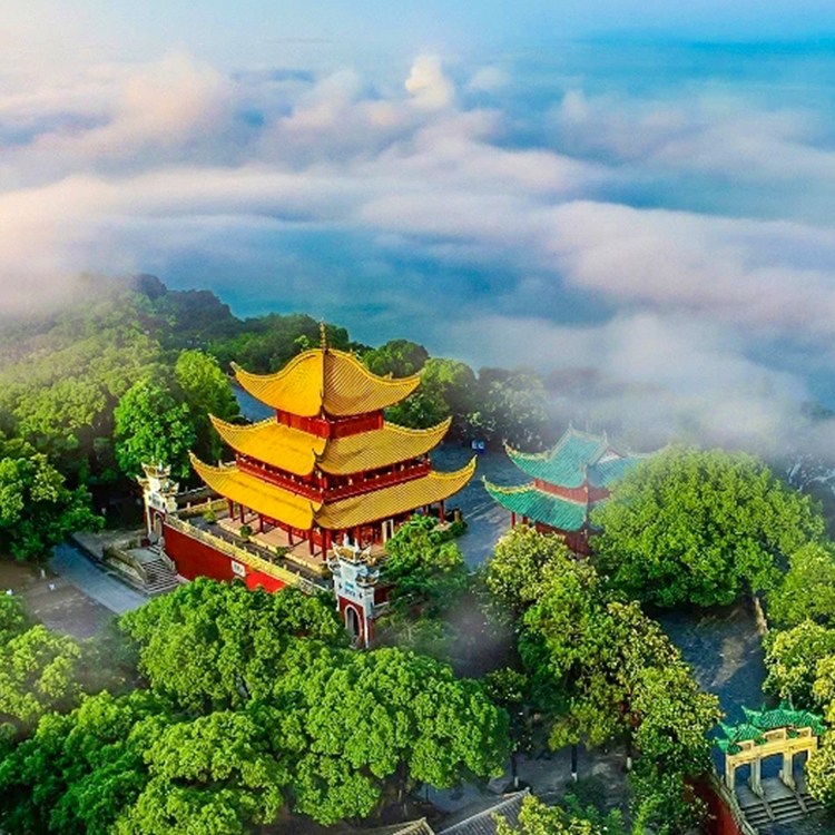 岳阳楼半日游精品讲解1H 专属导游讲解 2-7人VIP小包团 (含门票)