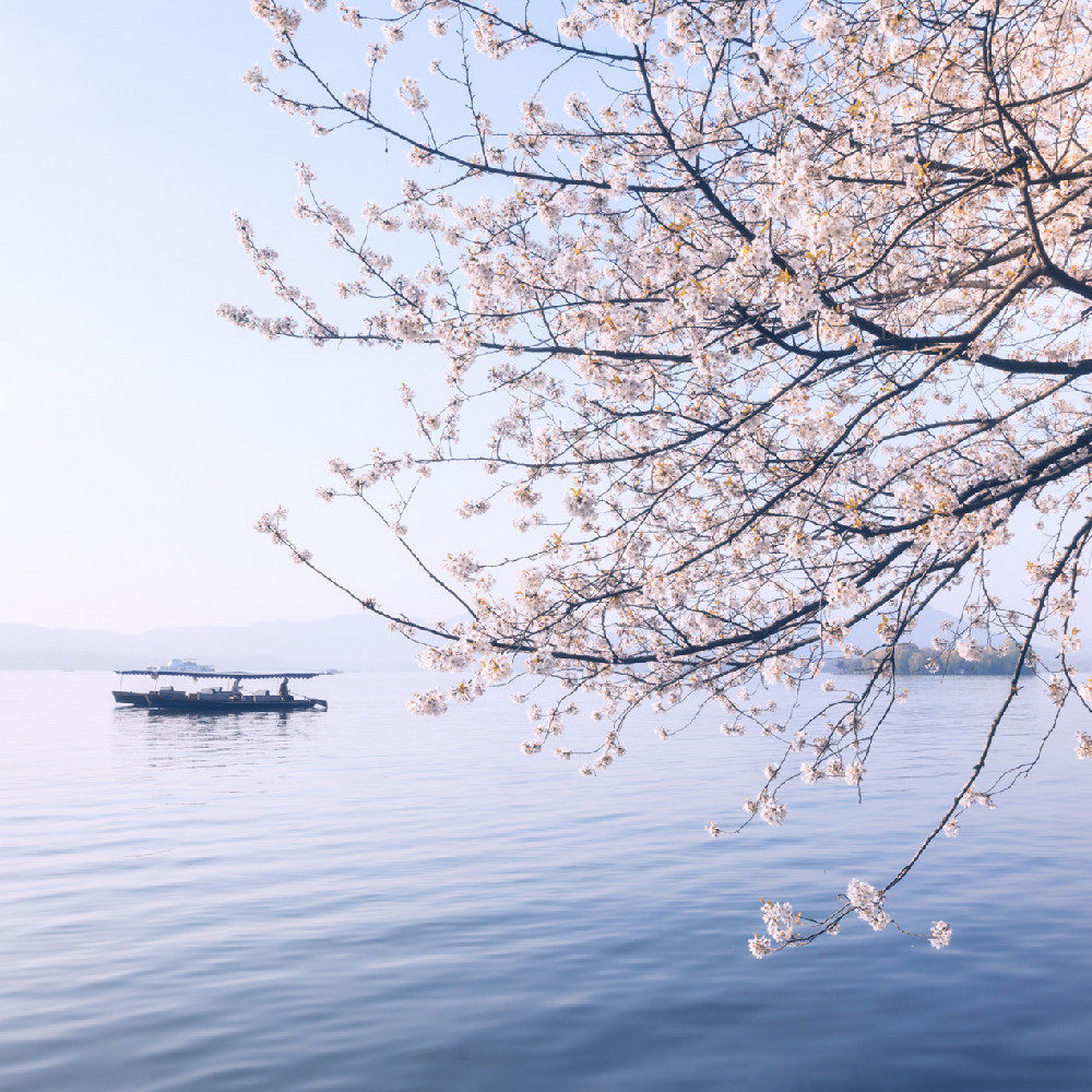 上海出发西湖1日游包车雷峰塔西湖游船灵隐寺飞来峰纯玩