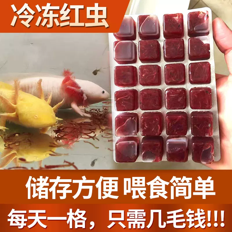 新鲜冰冻红血虫冷冻红虫包邮赤虫红线虫罗汉鱼