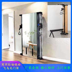 Wall-Mounted Mirror Bird Stand Single-Sided Small Bird Wall Training Device Home Wall-Mounted Fitness Rib Rack