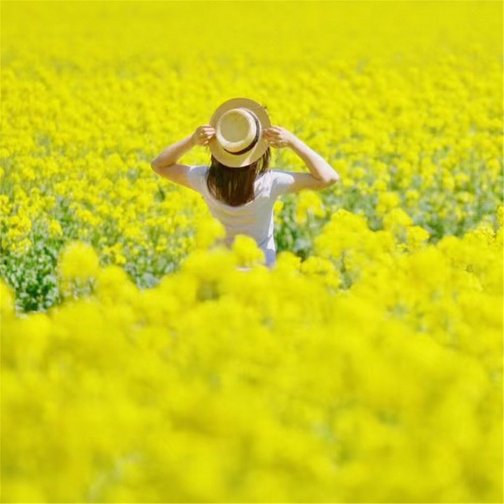 【昆明往返】滇东南全景9日游 元阳建水元谋弥勒坝美普者黑抚仙湖