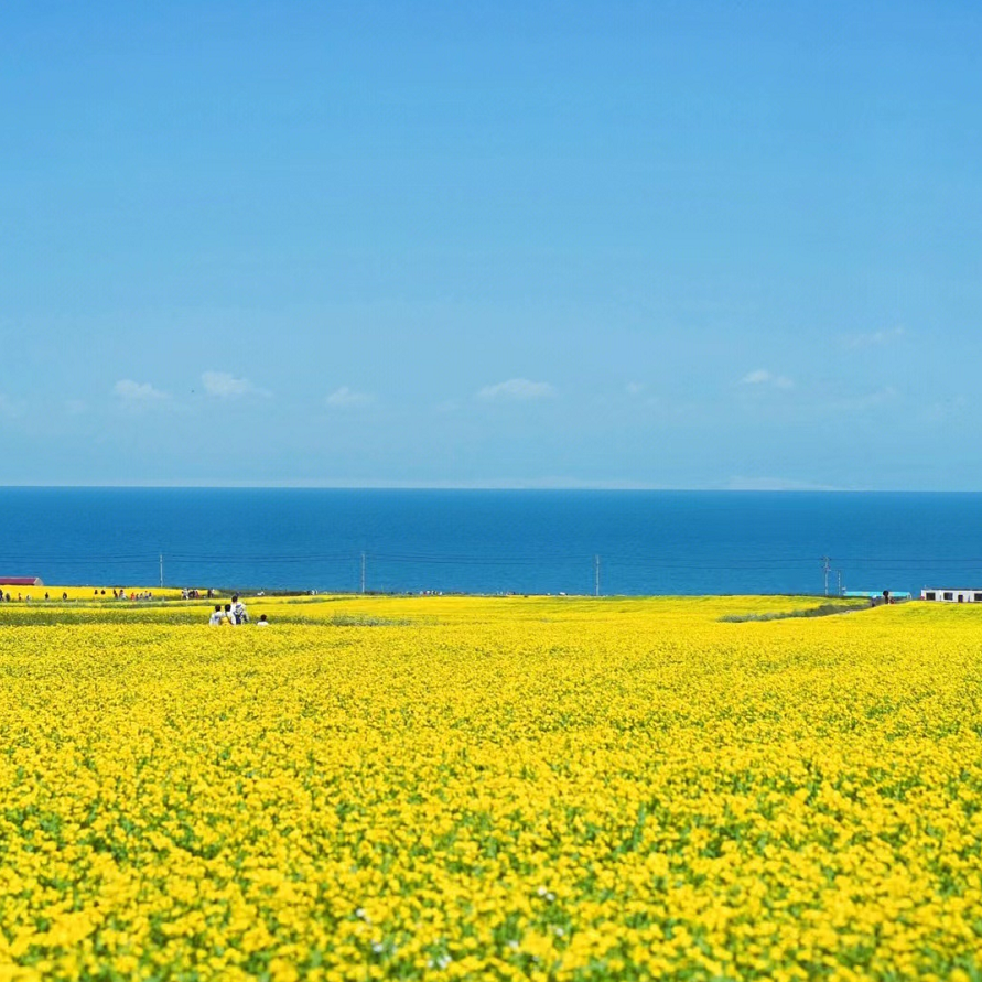 青甘大环线8天7晚全景游 黑独山俄博梁敦煌张掖茫崖青海湖U型公路