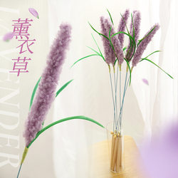 Lavender Cat Teaser Wand with Long Rod, Bite-Resistant, Cat Bell Toy, Self-Entertainment, Boredom Relief, Handheld Cat Teaser Gadget, Pet Supplies