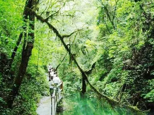 后河原始生态旅游区