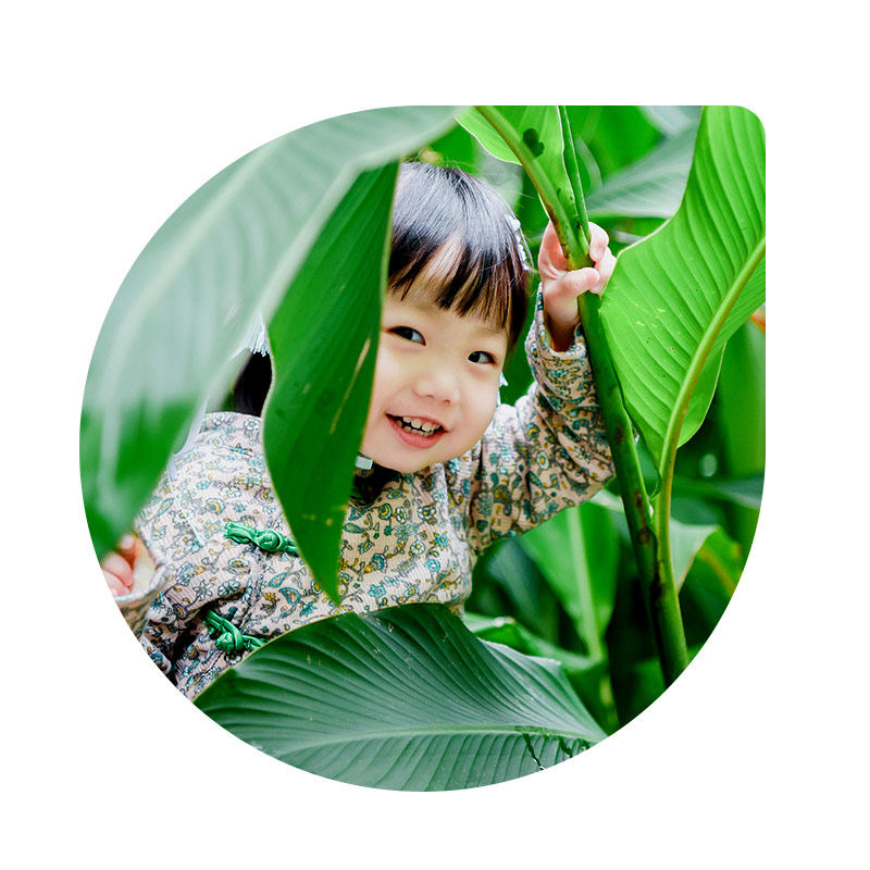 【亲子小熊猫酒店】西双版纳亲子游5天4晚夜游植物园雨林徒步纯玩