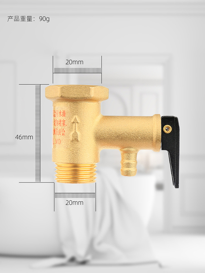 503 - Valvola Scarico Rapido In Ottone | Pneumax Group - Foto 9