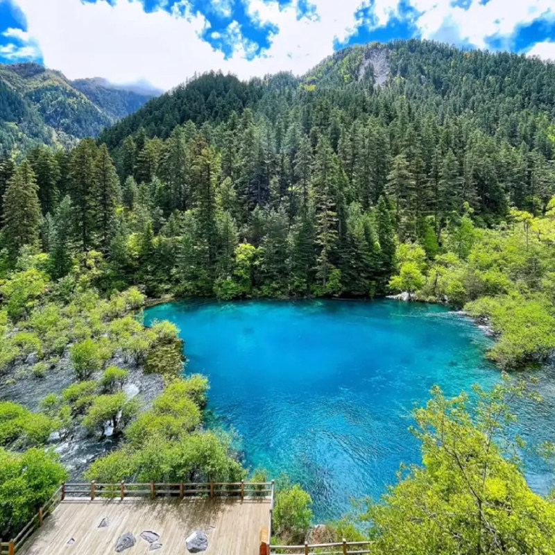 2-8人九寨沟4日游黄龙毕棚沟达古冰川四日游都江堰四姑娘山双桥沟