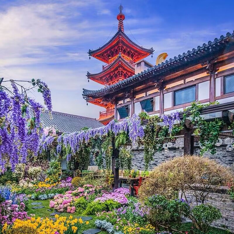 无锡拈花湾+灵山大佛+九龙灌浴一日游 5A精选景点