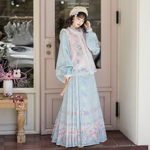 
Original Hanfu for women [butterfly] Ming-made plus velvet and thickened round neck Bijia pipa sleeves horse-faced skirt suit winter style