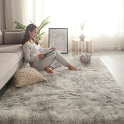 Carpet for Bedroom and Living Room, 2025 New Model, Bedside Rug with a High-End Feel, Washable and Wipeable, Blanket, Floor Mat, Room Coffee Table, Thickened