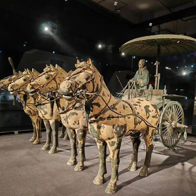 西安秦始皇帝陵博物院(兵马俑)一日游上门接+多套餐可选+导游讲解