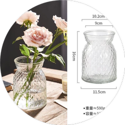 French Internet celebrity retro light luxury vase transparent high-end hydroponic flowers living room table decoration flower arrangement glass vase