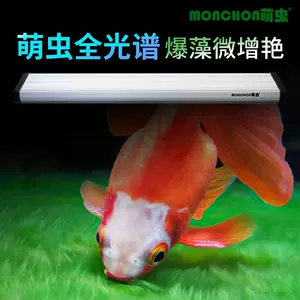綠蟲魚- Top 100件綠蟲魚- 2024年4月更新- Taobao