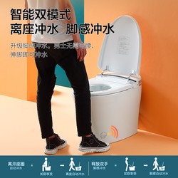 Huida Bathroom Smart Toilet All-In-One Fully Automatic Instant Heating Remote Control Toilet Household Toilet Hde3022T