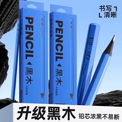 Black Wood Pencils for Elementary School Students, High-Quality Hb Pencils for First Graders, 2B Pencils for Kindergarten, Children's Writing Practice Pencils That Are Not Easy to Break, Boxed Learning Supplies, Black Sketching and Drawing Stationery, Writing Pencils