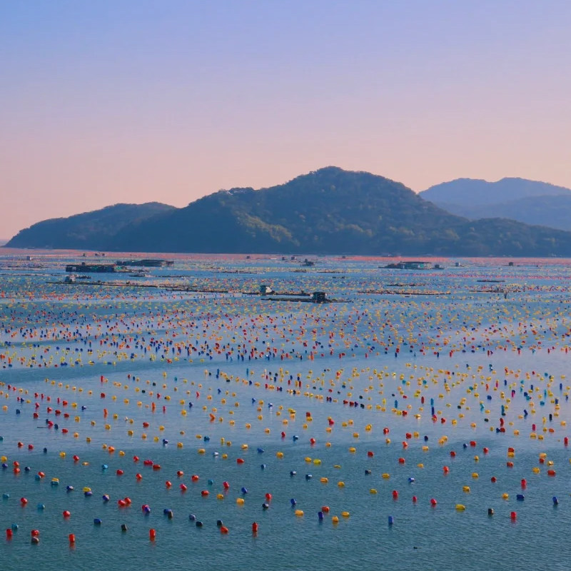 汕头潮州南澳岛一日游【本地司机带玩+潮汕上门接送+纯玩无购物】