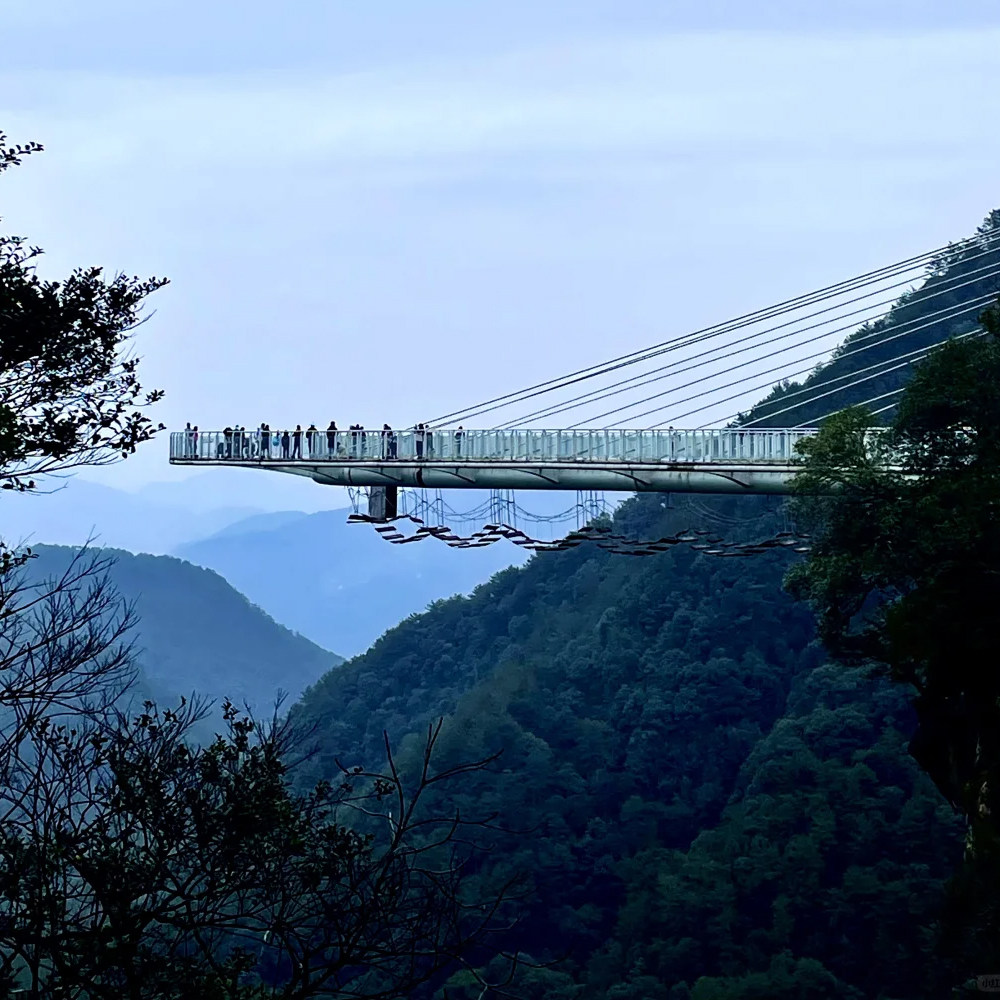 泉州德化石牛山玻璃栈道岱仙瀑布 竹筏漂流雾凇瀑布云梯 一日游