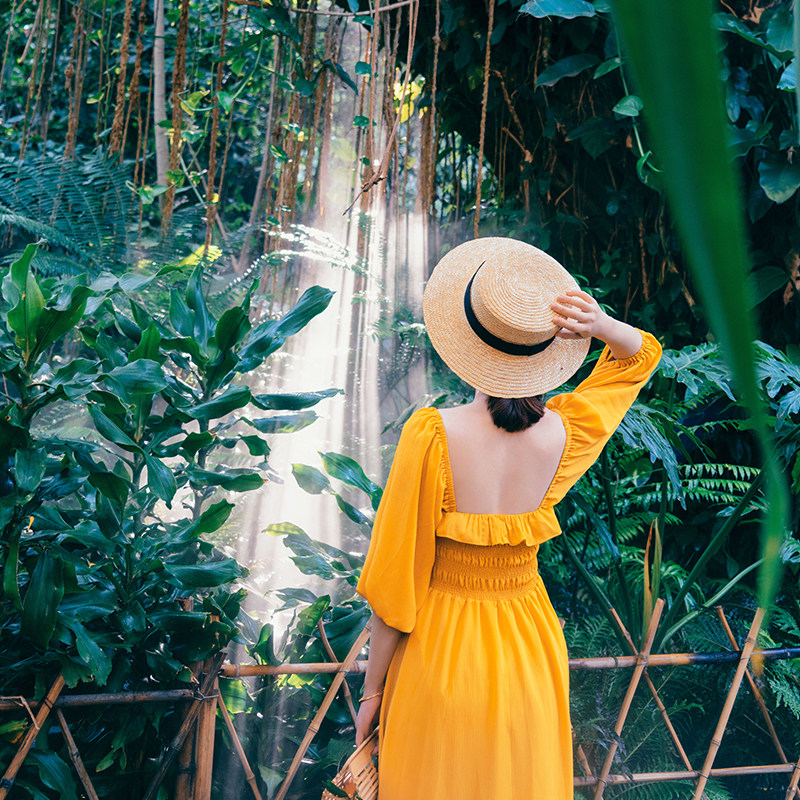 厦门市区跟团一日游集美学村植物园曾厝垵五缘湾帆船环岛路沙坡尾