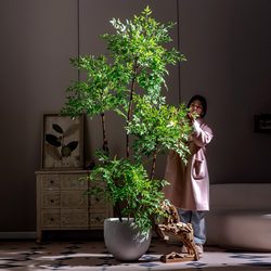 Artificial Green Plant of Phoebe Latifolia, Luxury High-End Floor-Standing Potted Plant, Faux Flower and Tree Decoration for Living Room