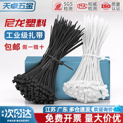 Nylon Plastic Cable Ties, Black and White, Self-Locking Buckle Cable Ties, Binding Rope, Strong Pull Force, Fixed Tie Straps, Cable Ties