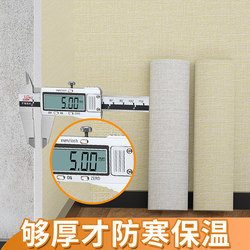 Winter Insulation Wall Stickers for Indoor Warmth and Cold Protection, Moisture-Proof and Mildew-Proof Wallpaper, Self-Adhesive Anti-Collision Wall Stickers