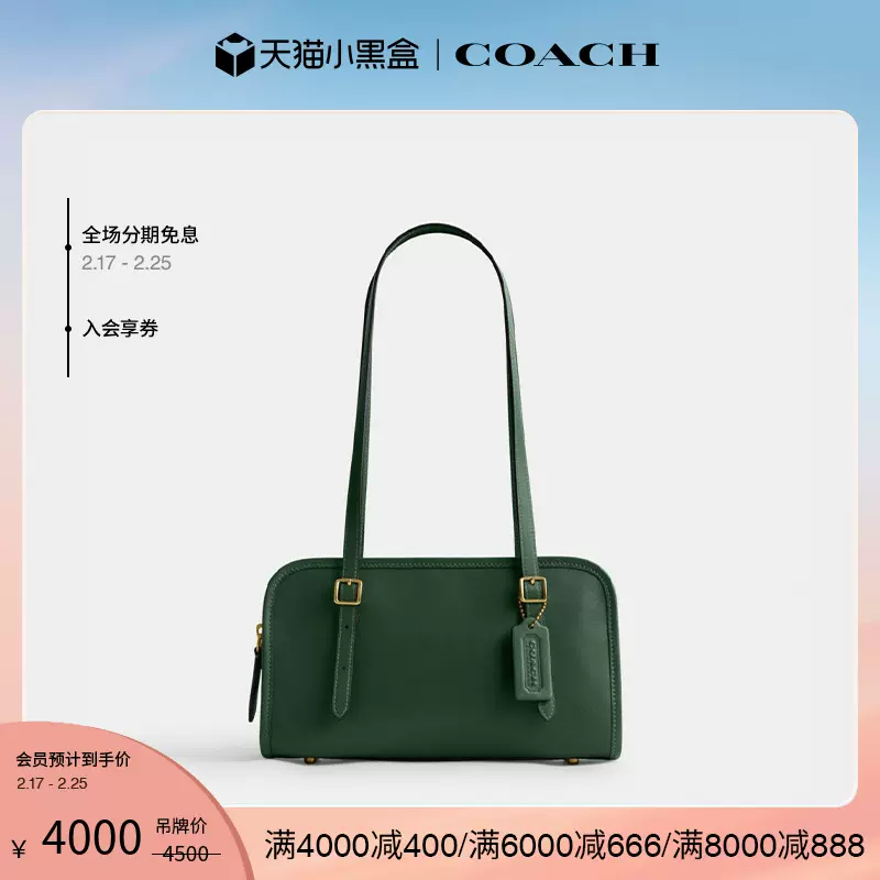 新品】COACH/蔻驰女士SWING拉链手袋单肩包腋下包高级简约-Taobao