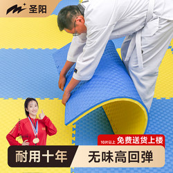 Professional Taekwondo Floor Mats, Gym Floor Mats, Martial Arts and Dance Mats, Soundproof Foam Taekwondo Mats