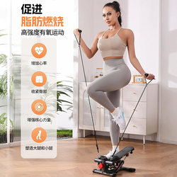 Seanlee Stepper Exercise Equipment for Home Use, a Small Weight Loss Device, Mini Elliptical Machine for Slimming Legs in Place