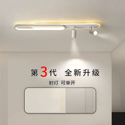 Strip Ceiling Light for Living Room, Hallway, Corridor, Balcony, Dedicated Light for Cloakroom, Surface-Mounted Track Spotlight