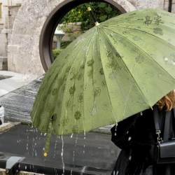 Umbrella Blooms When Wet, Enlarged, Thickened, Reinforced, Automatic, Green, 24 Ribs, Sunny and Rainy Umbrella, Straight Shaft, Long Handle, Curved Handle, High Aesthetic Value