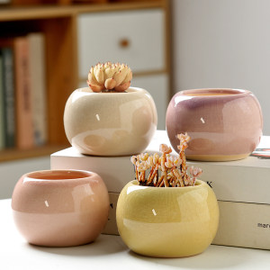 Succulent flower pot ice cracked small cute special price cartoon simple ceramic home desktop decoration meat flower pot

