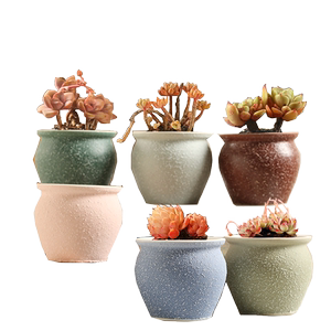 Poor flower pot ceramic special offer creative personality clearance thumb pot small flower pot simple rough pottery color painted air glaze