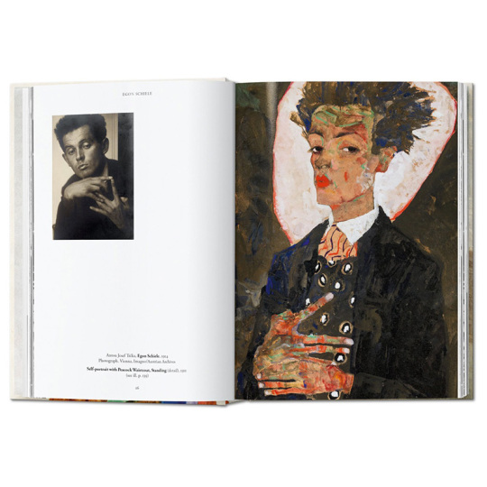 エゴンシーレ THE COMPLETE WORKS Egon Schiele: The Complete Works エゴン・シーレ - 古本買取