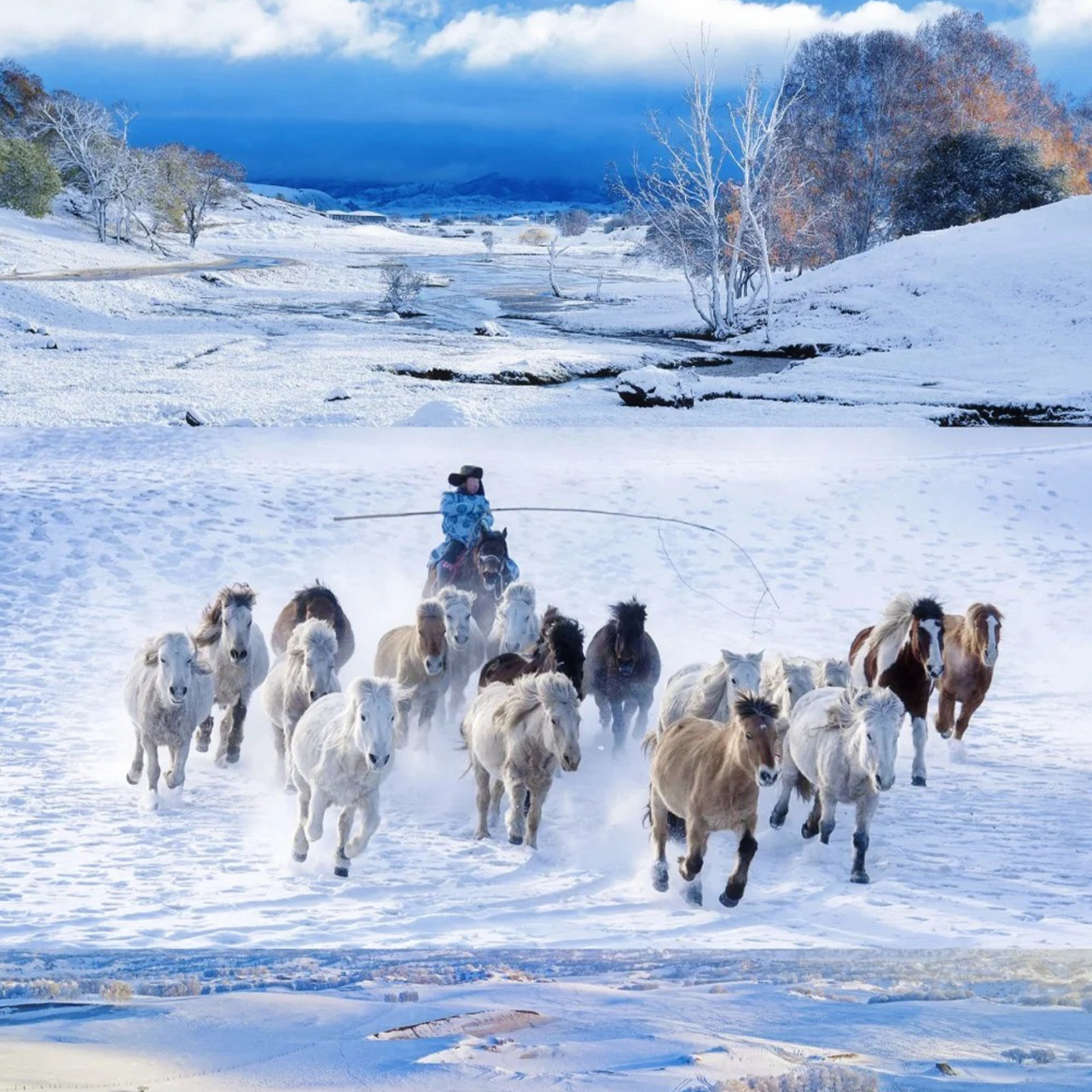 私家团·独家雪村·马拉爬犁木兰围场+塞罕坝+乌兰布统雪原3日2晚