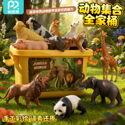 Children's early education educational toy simulation animal model
