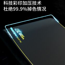 Raynigel Jump Rope Mat, Sports Shock-Absorbing Jump Exercise Mat, Fitness Home Floor Mat, Silent Yoga Mat, Raynigel