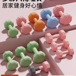 Dumbbells for Women, Fitness Equipment for Home Use, Belly Slimming Barbells, Kettlebells, Small Dumbbells for Children, Teenagers, and Women, 2kg Pair