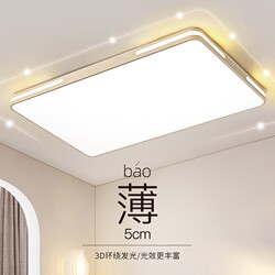 2024 Led Ceiling Light for Bedroom, Living Room, Modern Simple and Elegant Design, New Zhongshan Lighting Fixtures, Large Lampshade