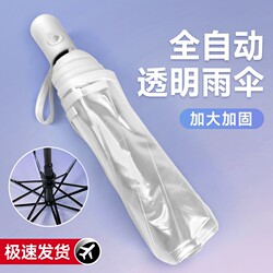Transparent Umbrella, Foldable, Photo-Worthy, Stylish, High Aesthetic Value, Double Reinforced, Large, Portable, Fully Automatic, White, Long Handle